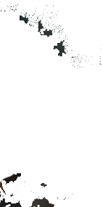 g.png