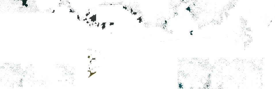 type-effect-new.png